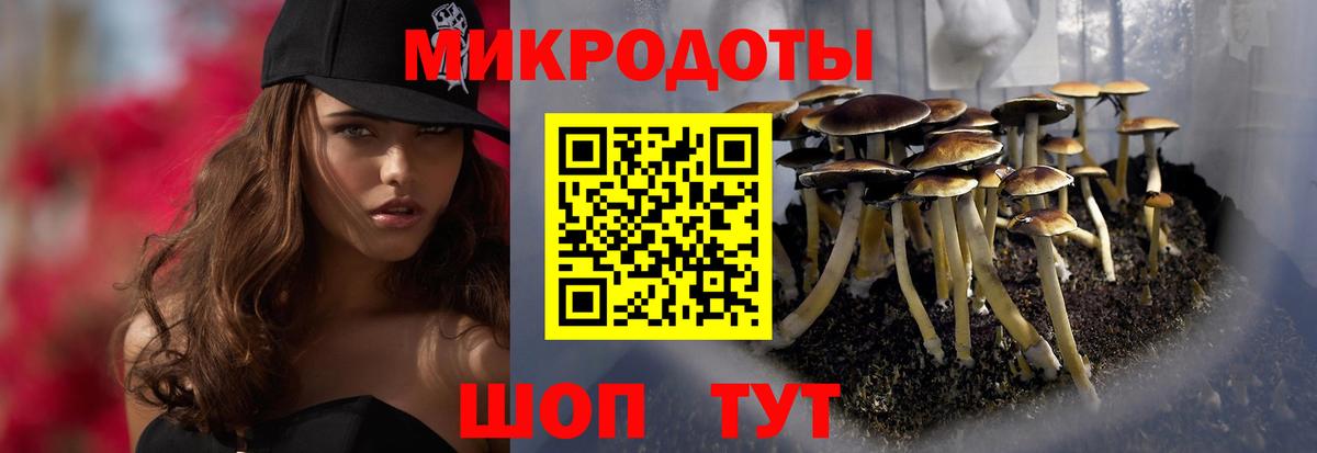 Псилоцибиновые грибы MAGIC MUSHROOMS  Вход с VPN  Казань 